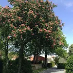 Panzió La Grange D'aunis Aigrefeuille-dʼAunis