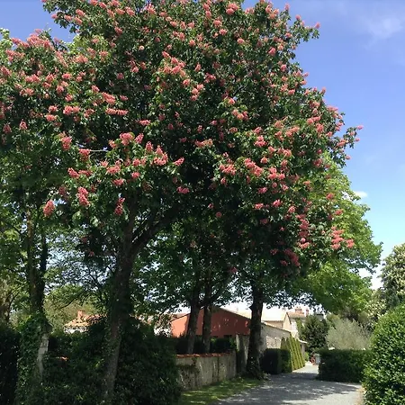 Bed & Breakfast La Grange D'aunis Aigrefeuille-dʼAunis